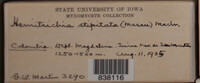 Image Associated With the Occurence